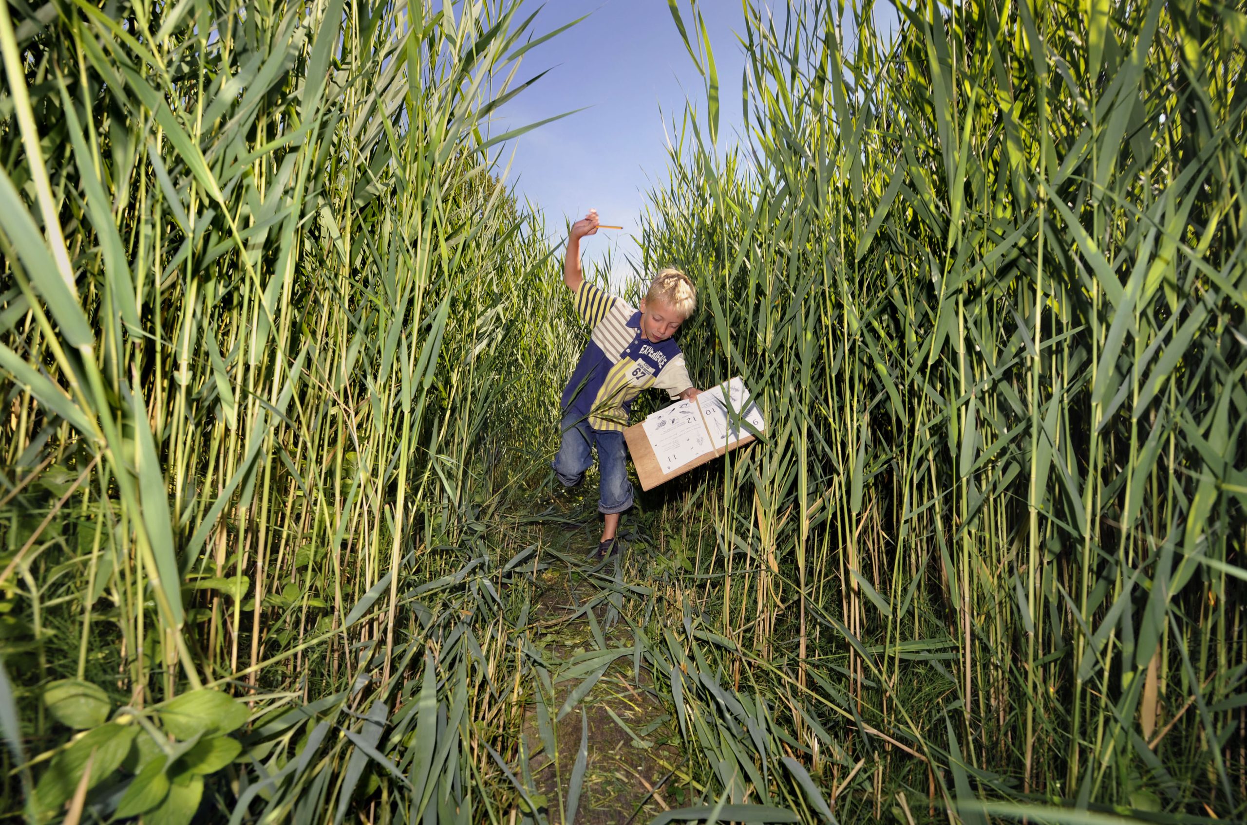 Heemtuin2008-4