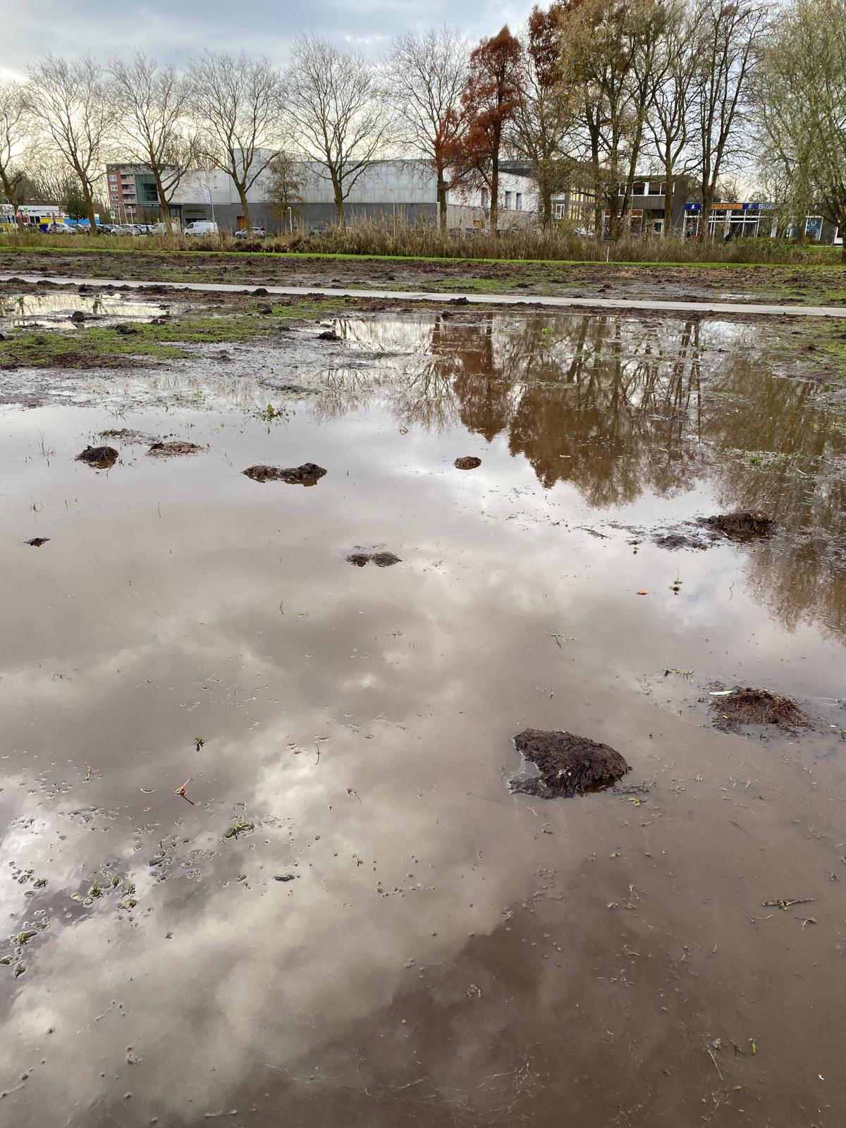 Wegdrijvende tuintjes