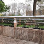 Koop ’s een plantje