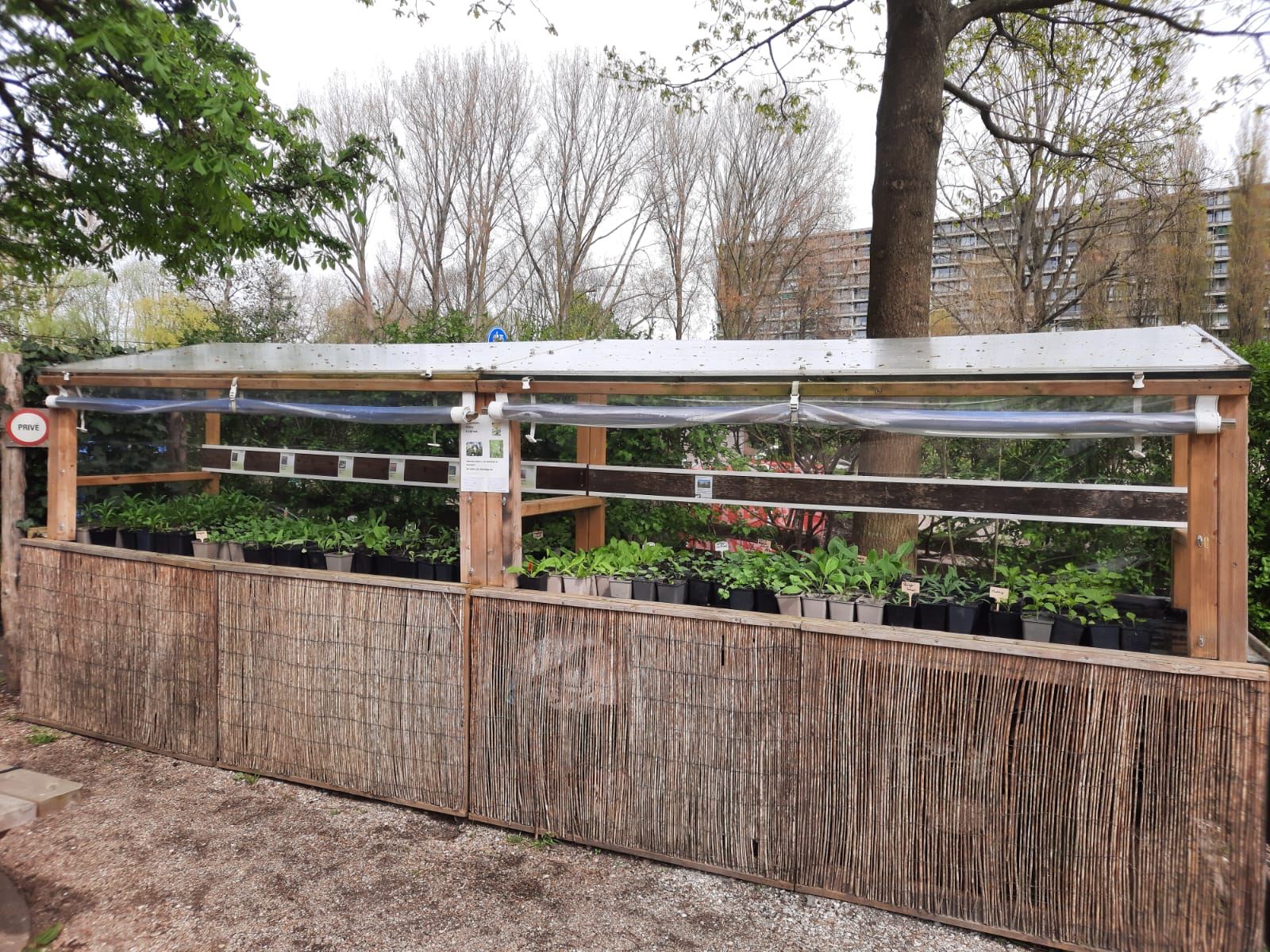 Koop ’s een plantje