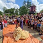 Scheer-feest