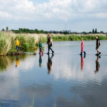 Zaanse Natuurdagen en Wandelen over Water
