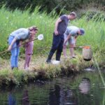 Biodiversiteitsdag